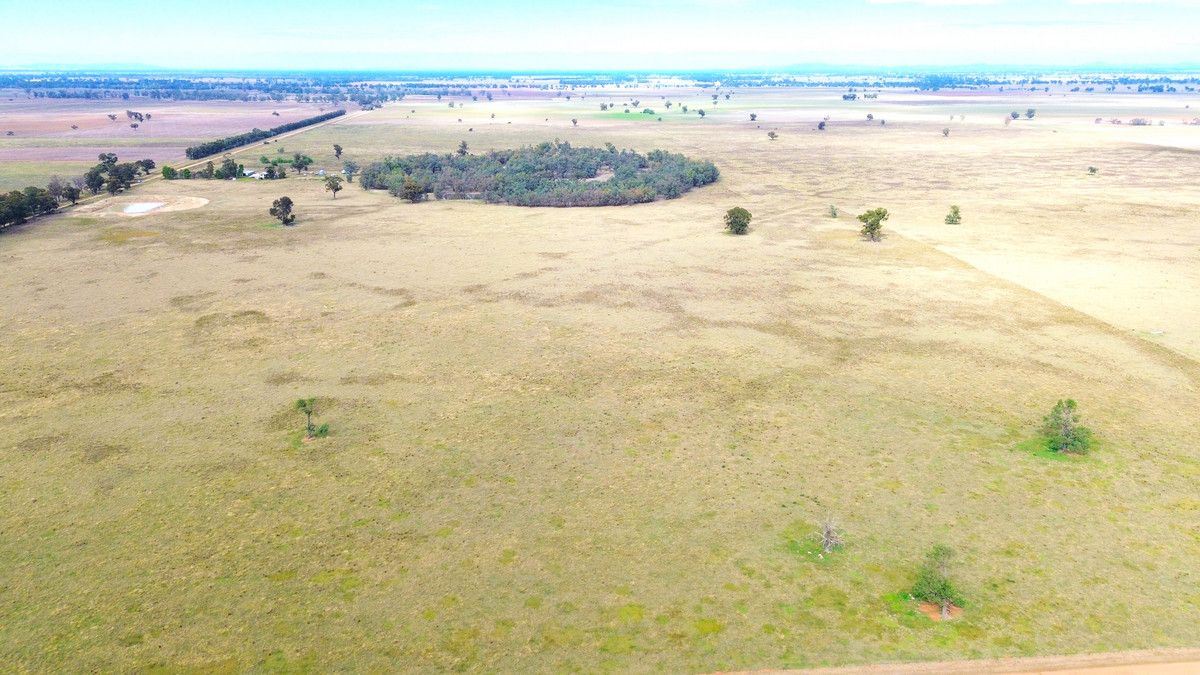 Rural in Monavale McAlisters Lane, QUANDIALLA NSW, 2721