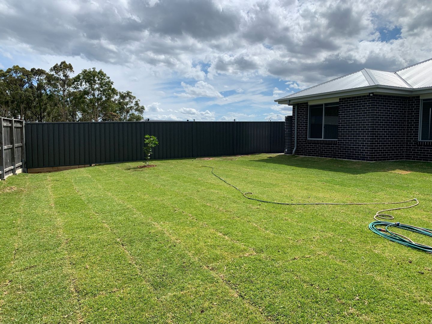 127 Radford Street, Cliftleigh NSW 2321 House For Rent Domain