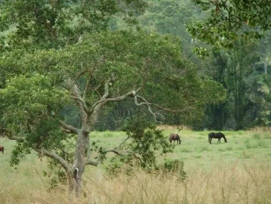 Image 12