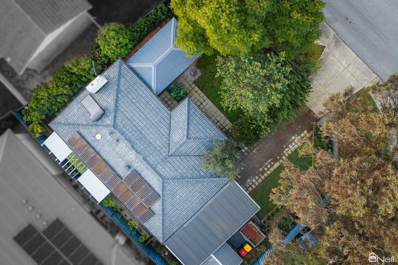 Image 5