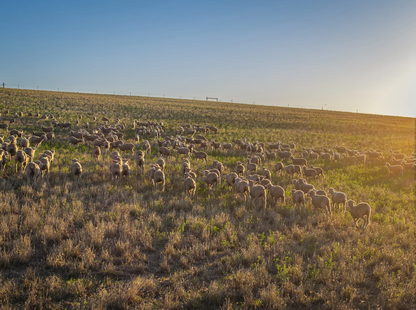Additional image 28 of 1154 Stockyard Hill Road, Stockyard Hill VIC 3373