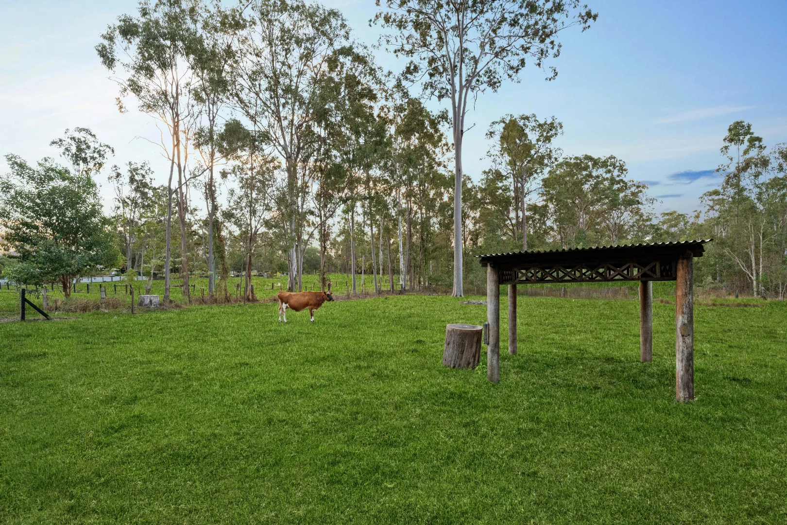 Image 26
