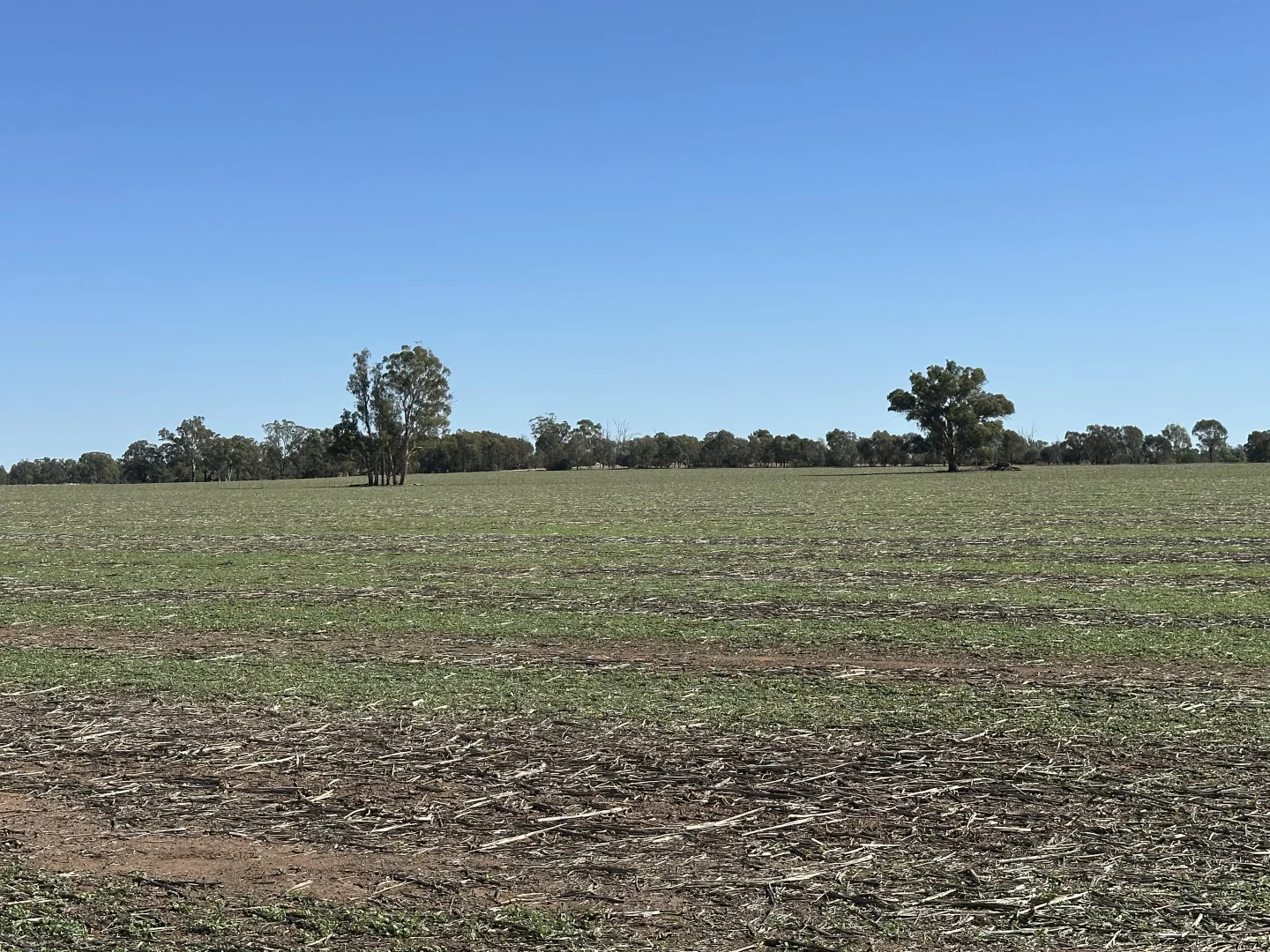 Additional image 13 of . Lilydale Road, Balldale NSW 2646