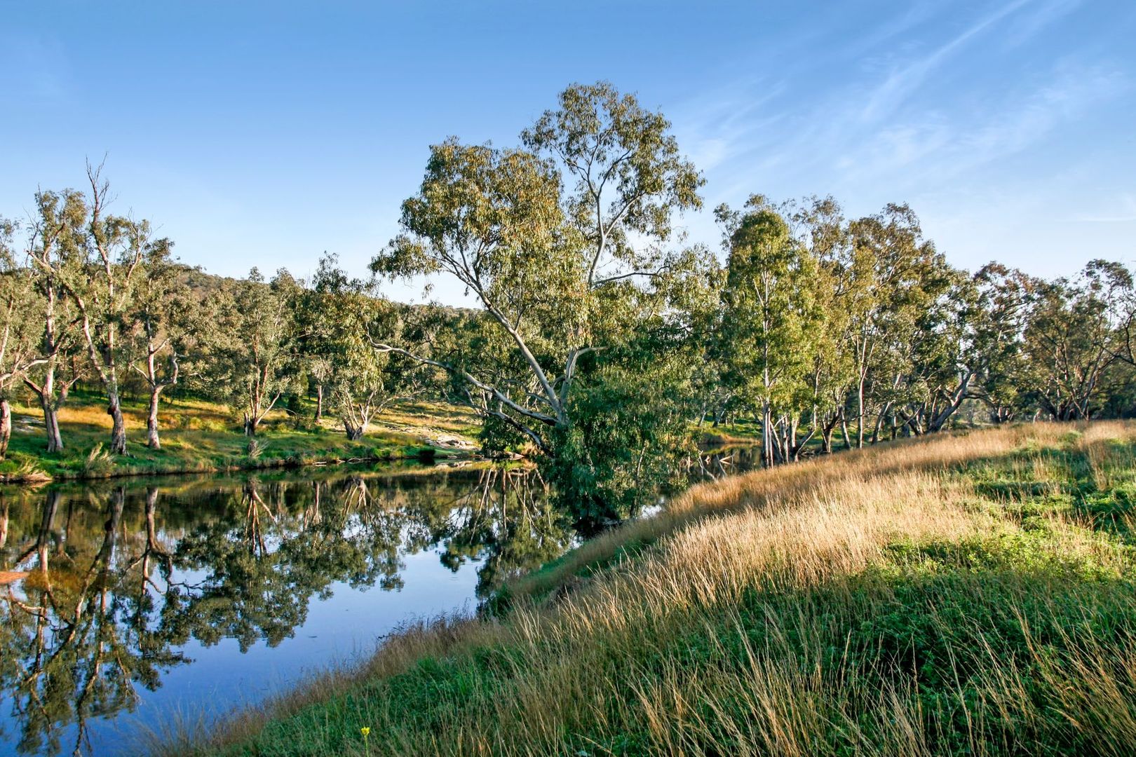 357 Weonga Rd, Yeoval NSW 2868 House for Sale 1,600,000 Domain