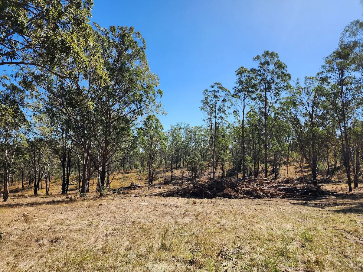 Image 13