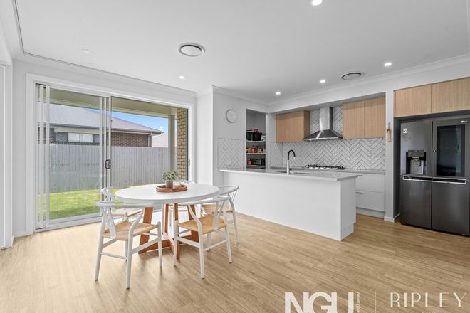 18 Palmerston Street Ripley 4306 - Image 5