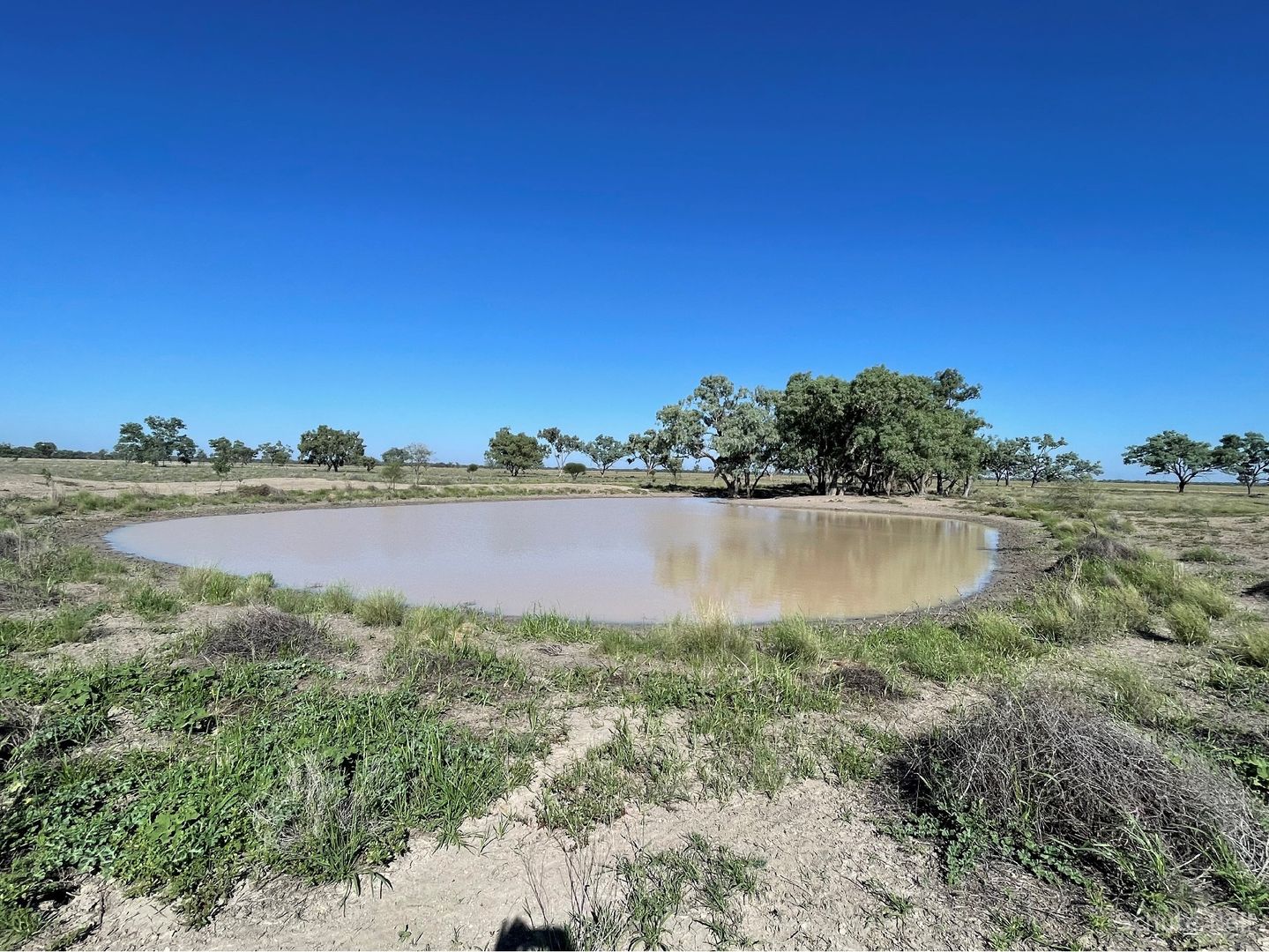 23987 East Culgoa Road, Brewarrina NSW 2839 House for Sale 4,500,000