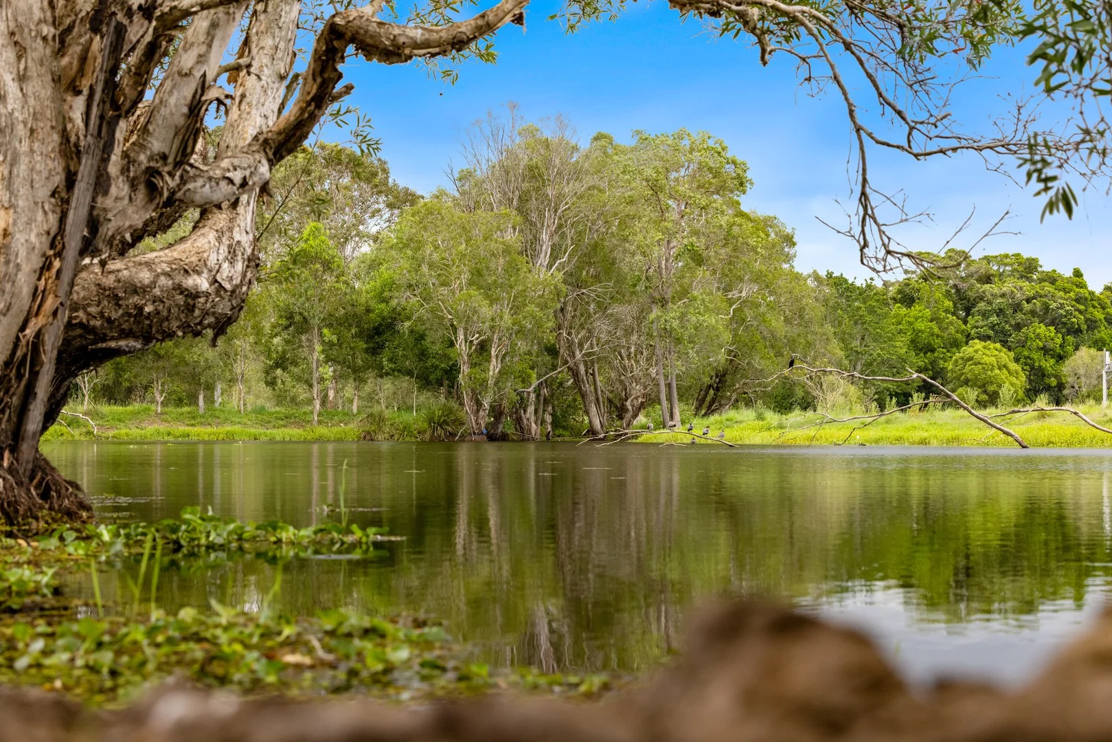 6 Canando Street, Woodford QLD 4514