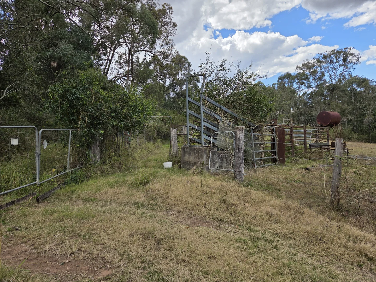 Image 11