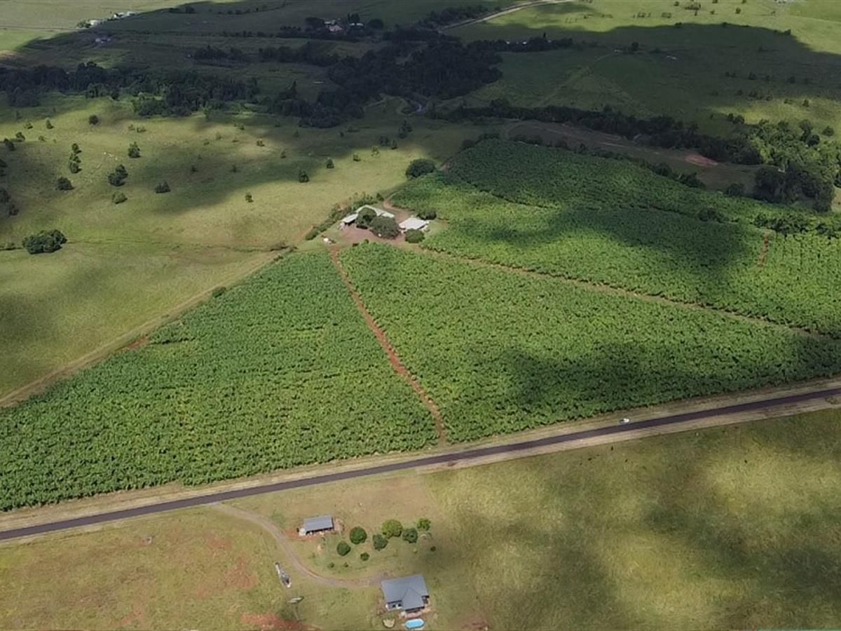 217 DONKIN ROAD, Utchee Creek QLD 4871 House for Sale 1,450,000