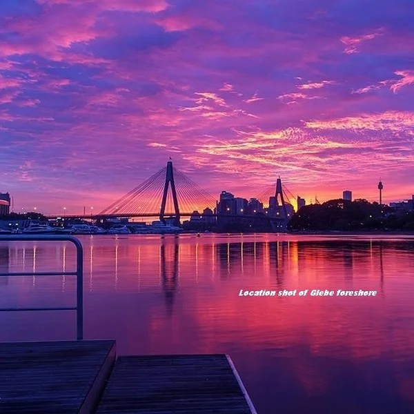 Additional image 19 of 1 Sterling Cct, Camperdown NSW 2050