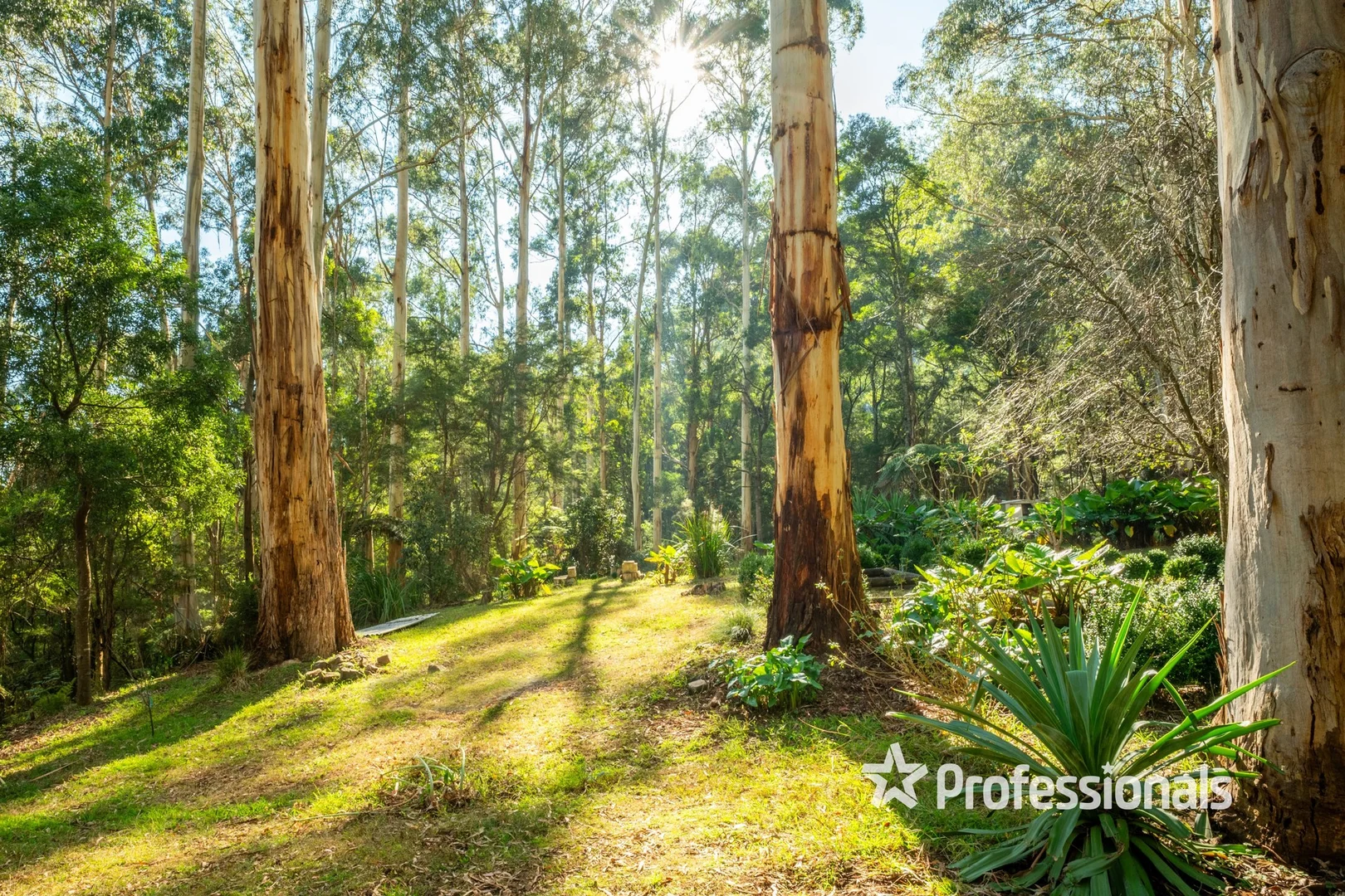 Additional image 14 of 44 & 45 Hillcrest Road, Don Valley VIC 3139