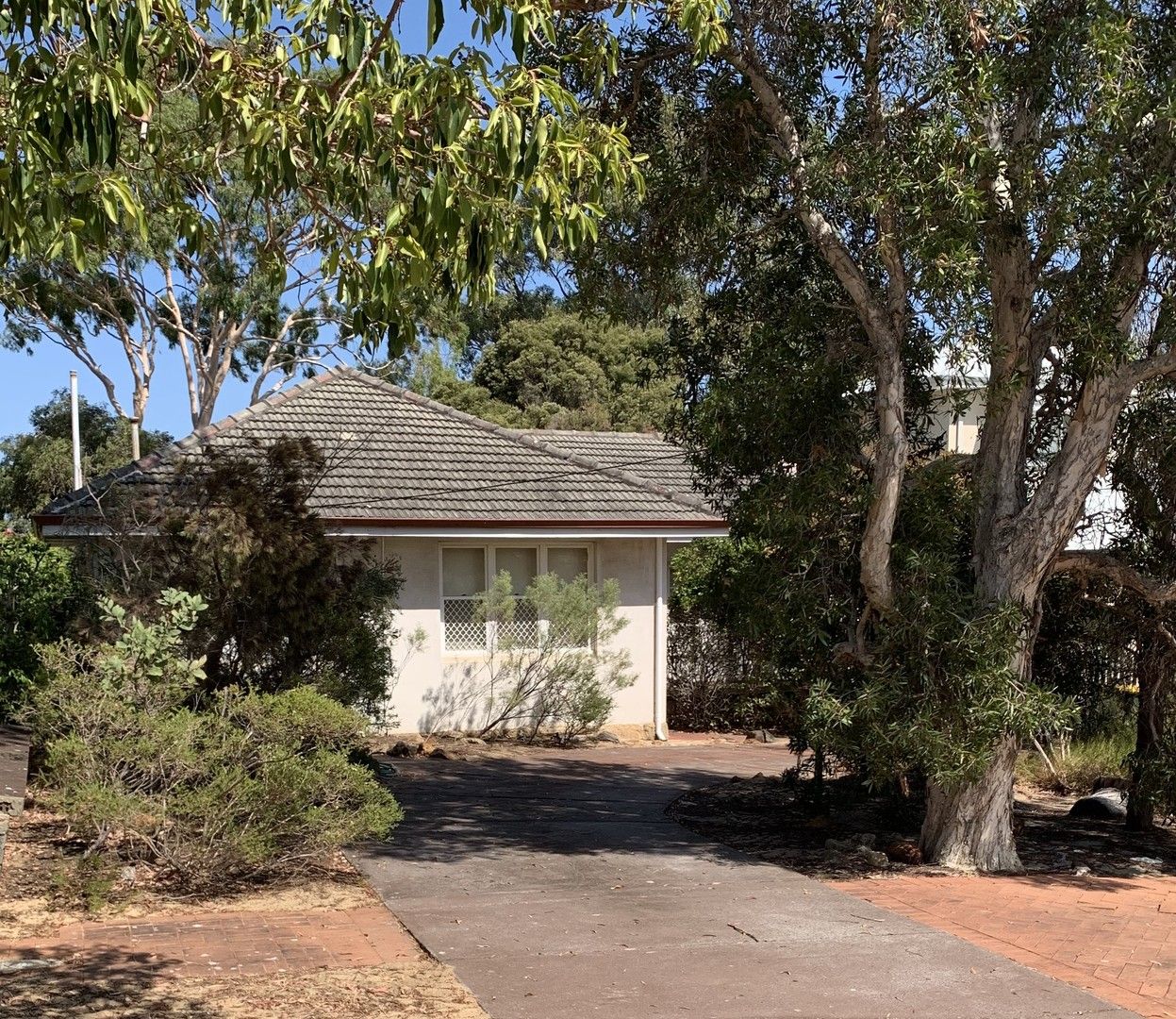 31 Auborough Street, Doubleview WA 6018 House For Rent 550 Domain