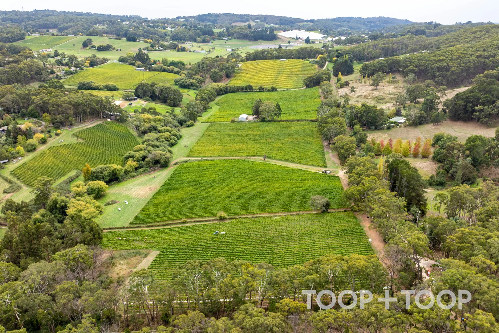 Additional image 15 of 12 Udys Road, Piccadilly SA 5151