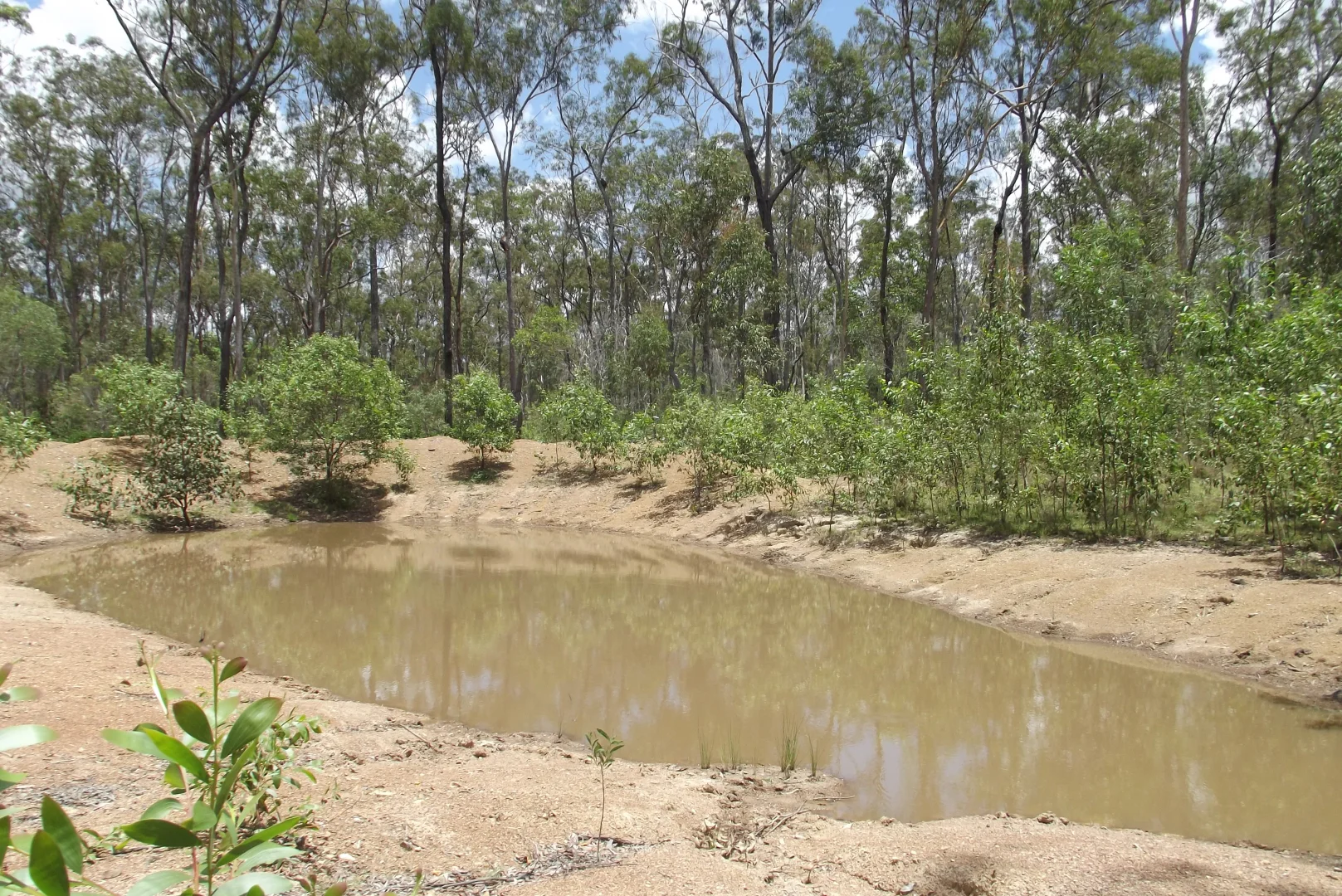 Image 12