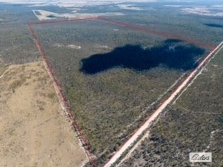 Rural in 527 Barakula Road, BLACKSWAMP QLD, 4413