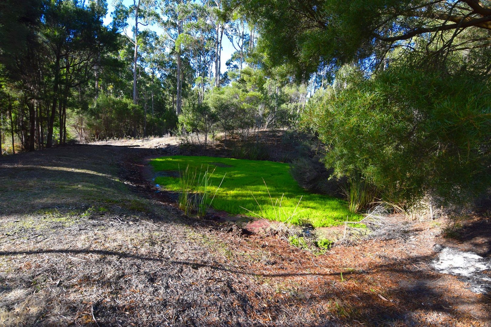 240 Back Cam Road, Somerset TAS 7322, Image 0