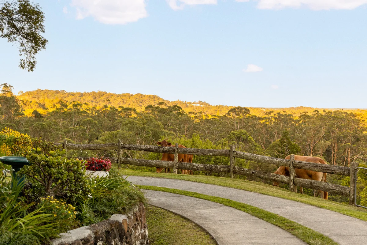 Additional image 4 of 79 Isambert Road, Glenview QLD 4553