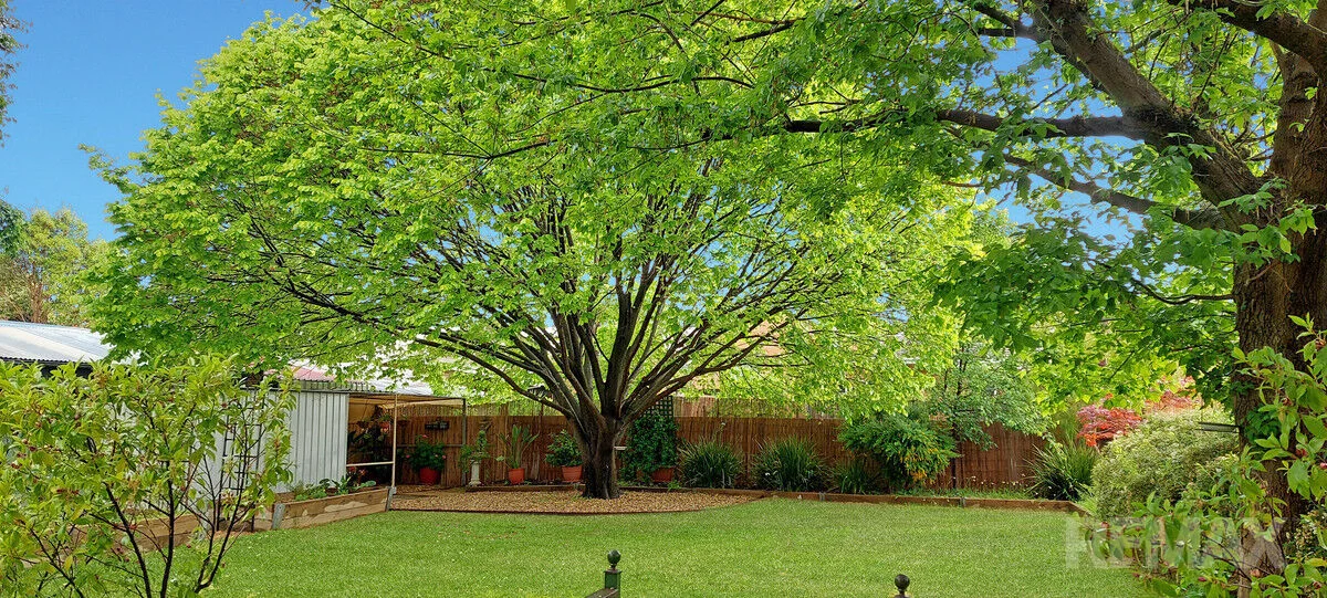 Additional image 23 of 54 Walana Crescent, Kooringal NSW 2650