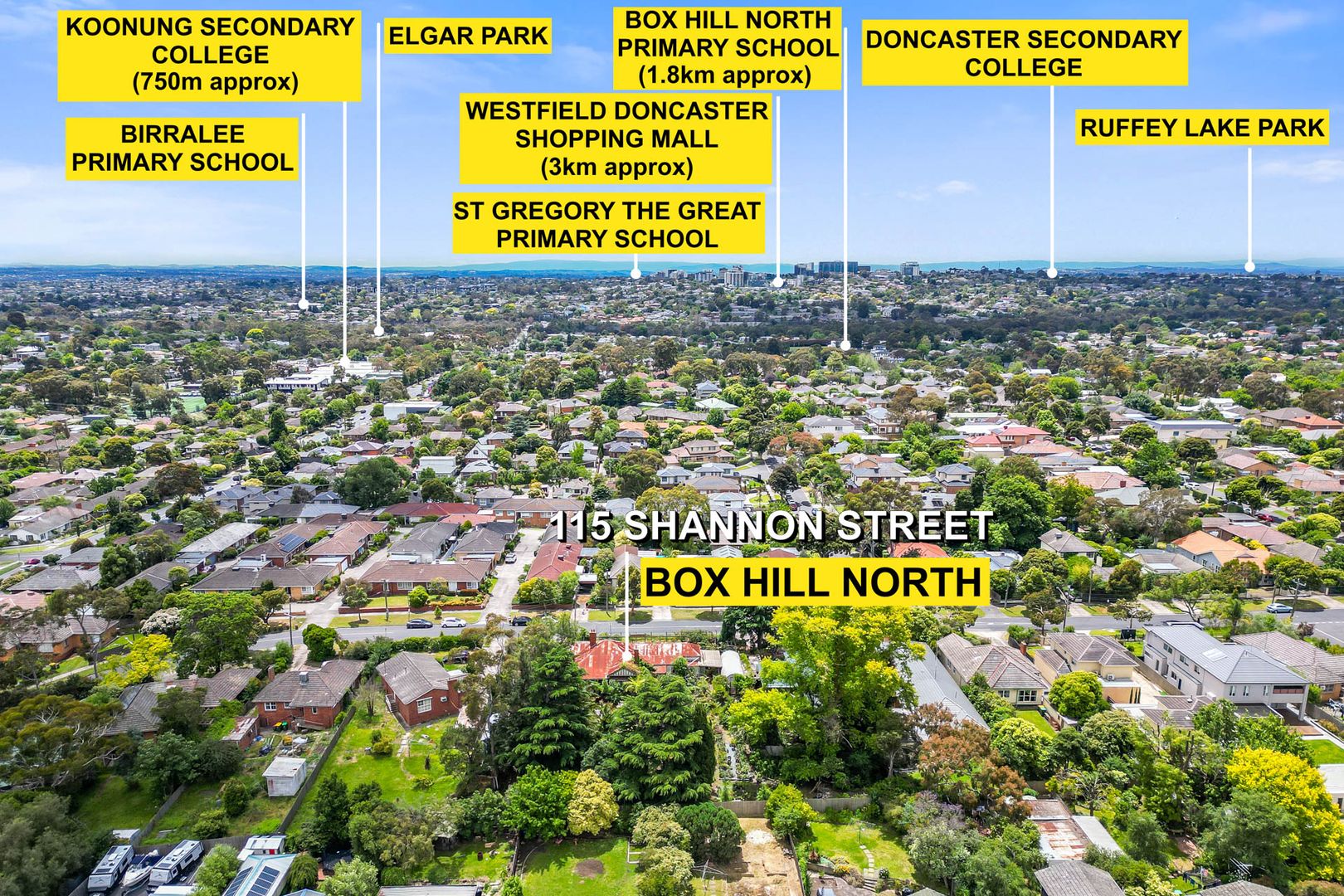 115 Shannon Street, Box Hill North VIC 3129 Domain