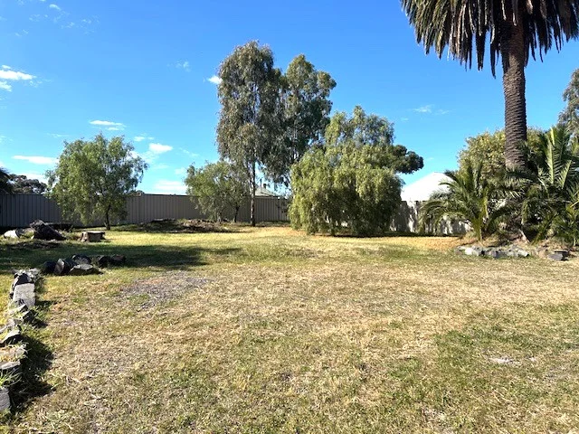 Image 23