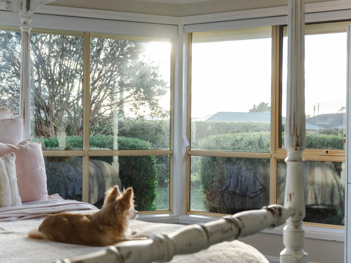 Additional image 7 of 201 Percival Street, Latrobe TAS 7307