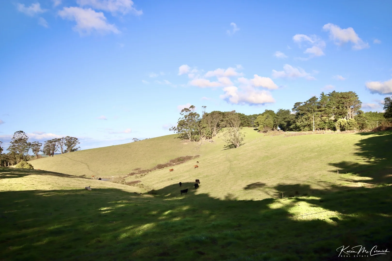 Image 13