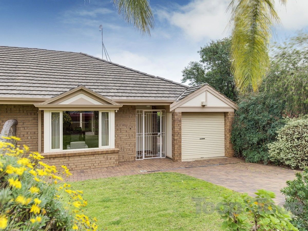 3A Burnell Street, Linden Park SA 5065, Image 0