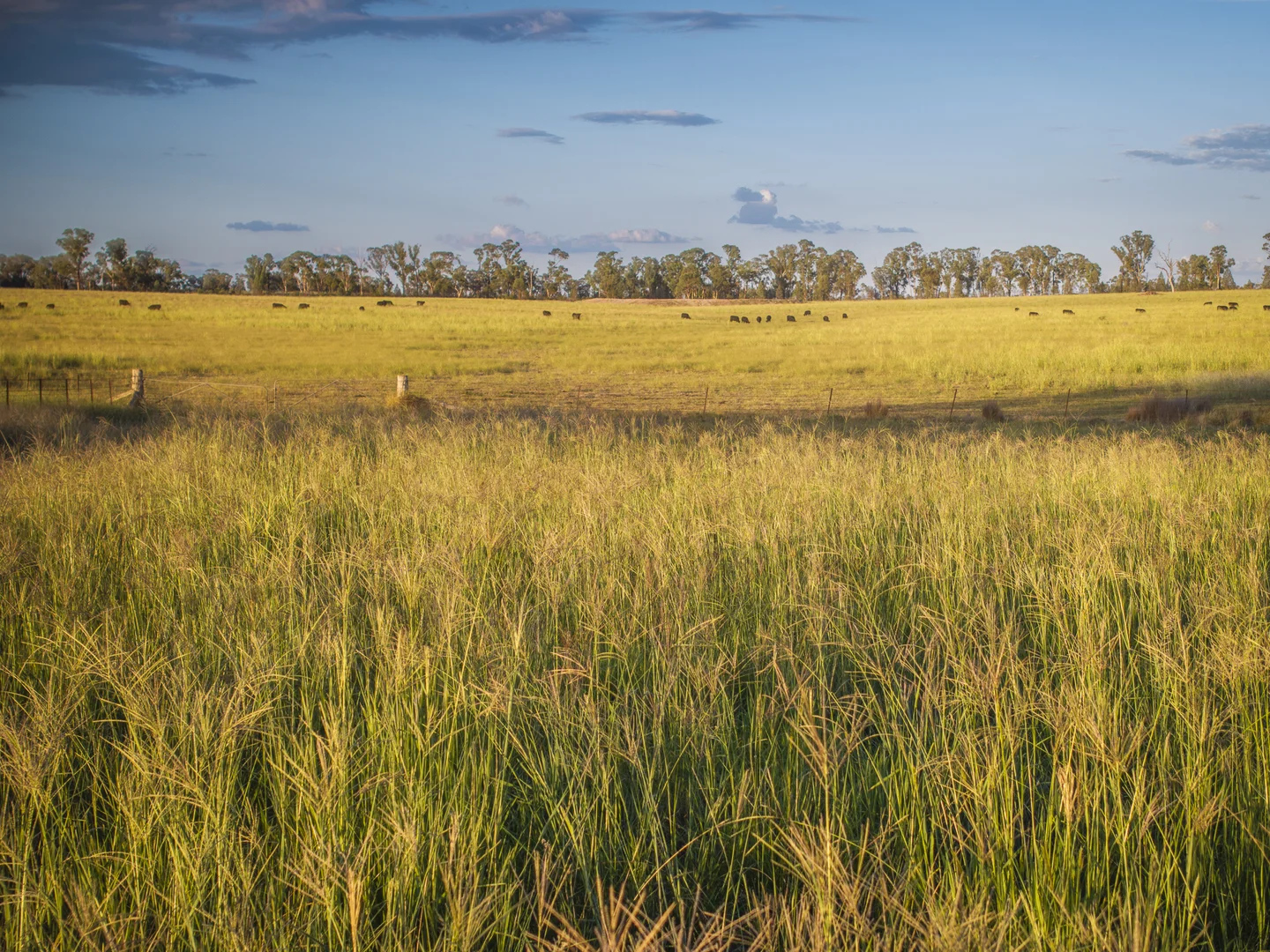 Additional image 16 of 159L Peak Hill Road, Dubbo NSW 2830