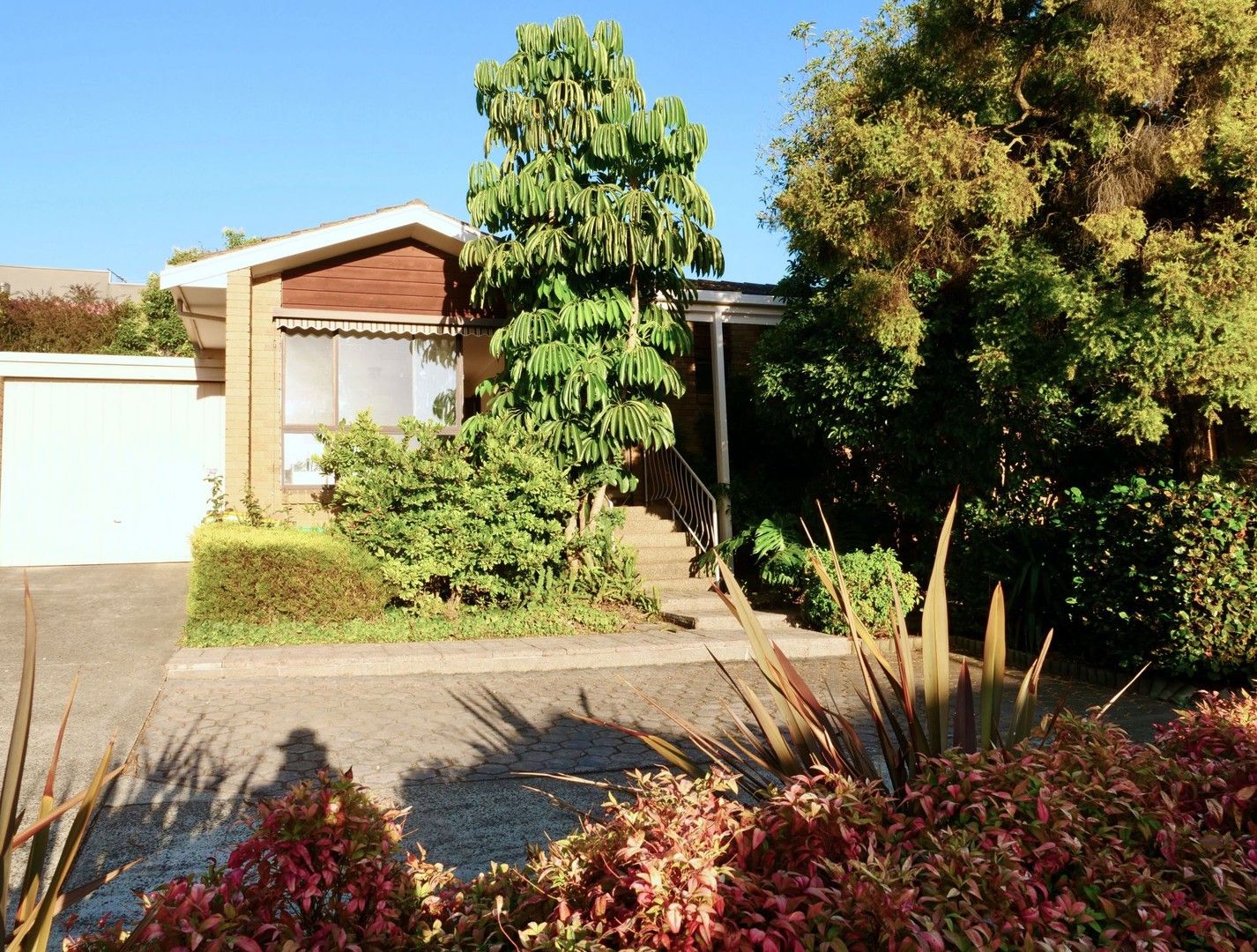 3 bedrooms Semi-Detached in 6/38-40 Banksia Street HEIDELBERG VIC, 3084