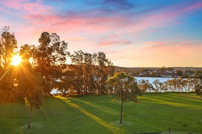 Gosford East Public School Catchment Nsw 2250 Domain
