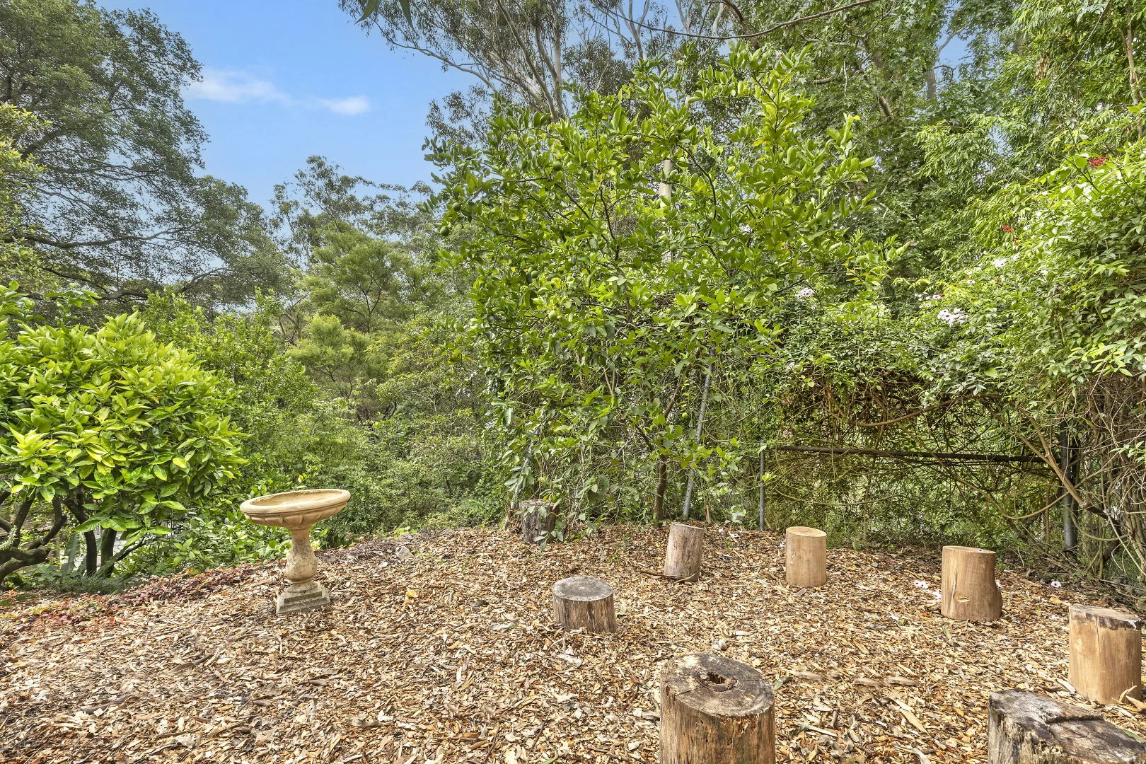 Image 10
