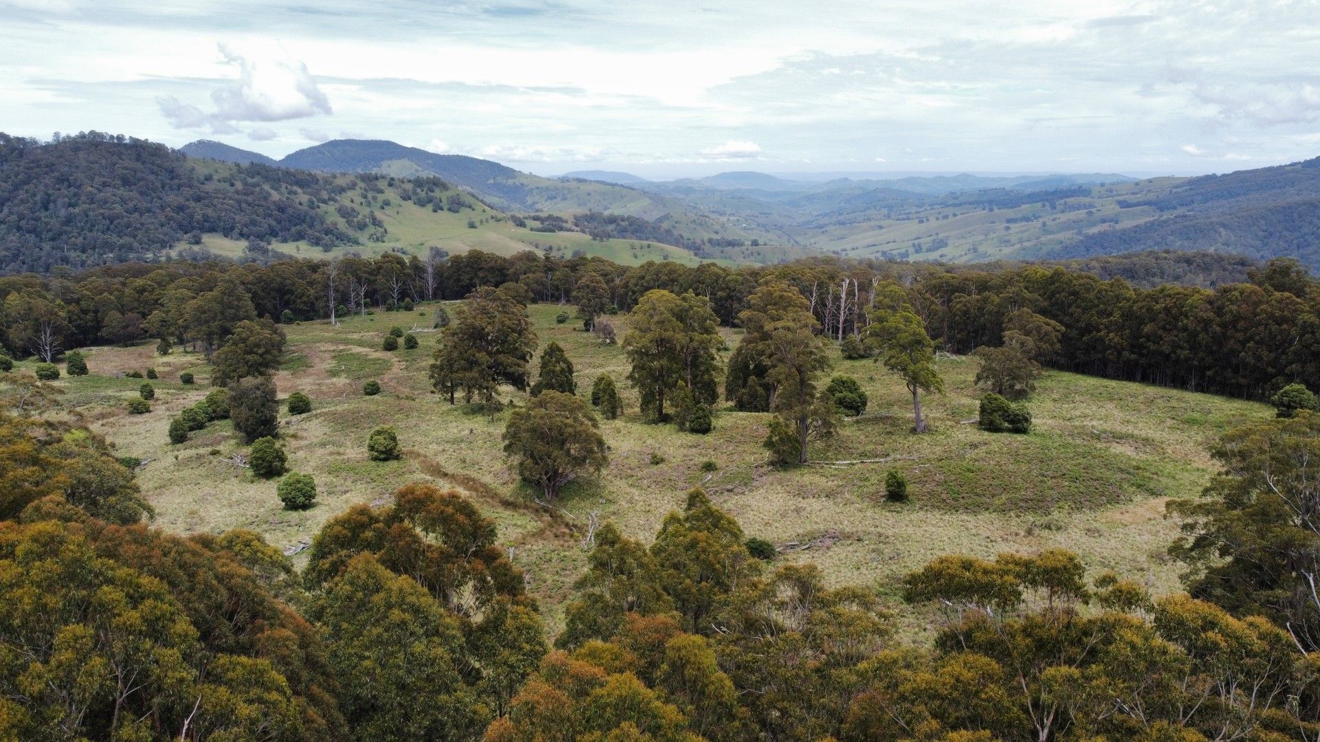 Lot 81-82, 94-95 Upper Rouchel Road, Upper Rouchel NSW 2336, Image 0