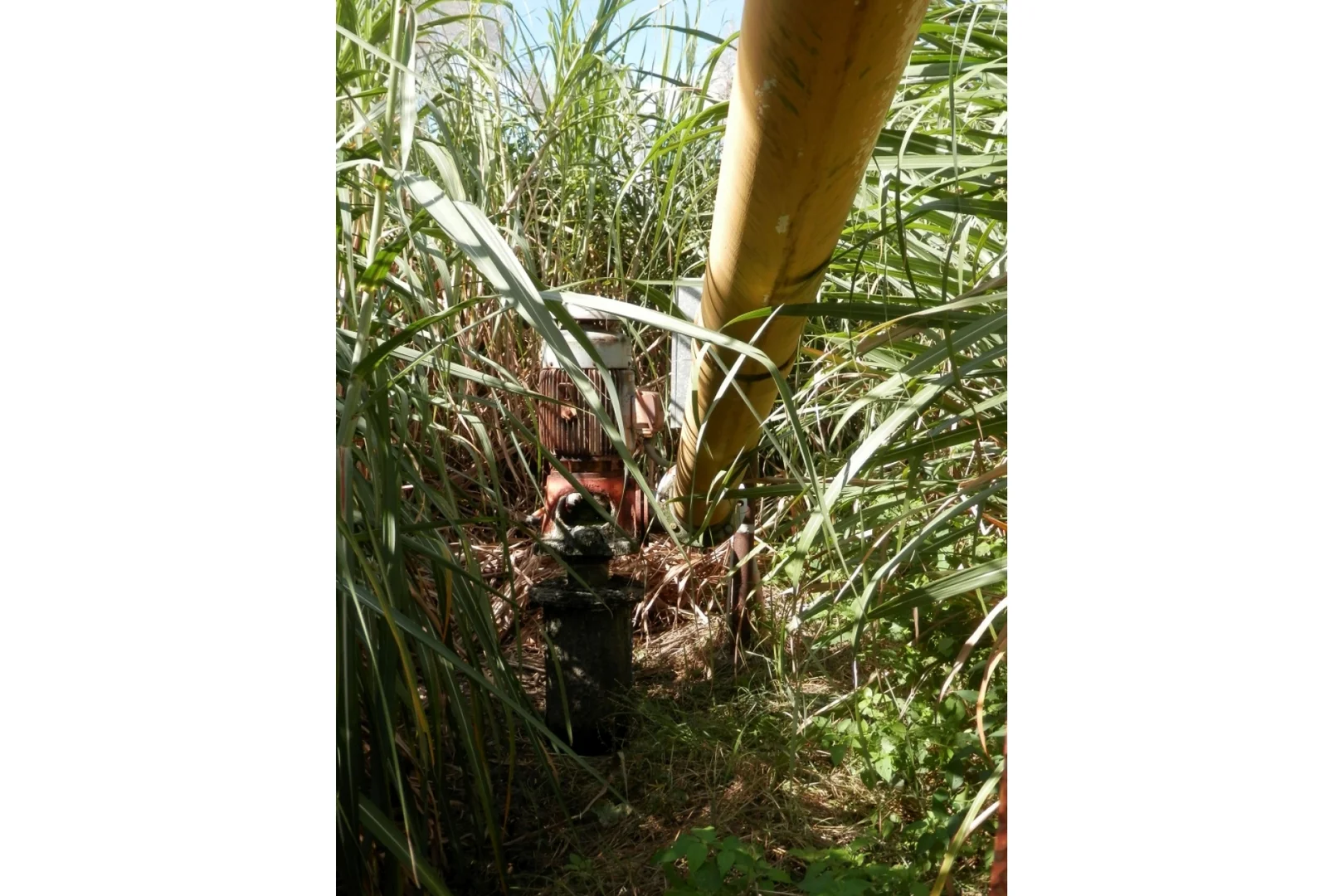 Image 12