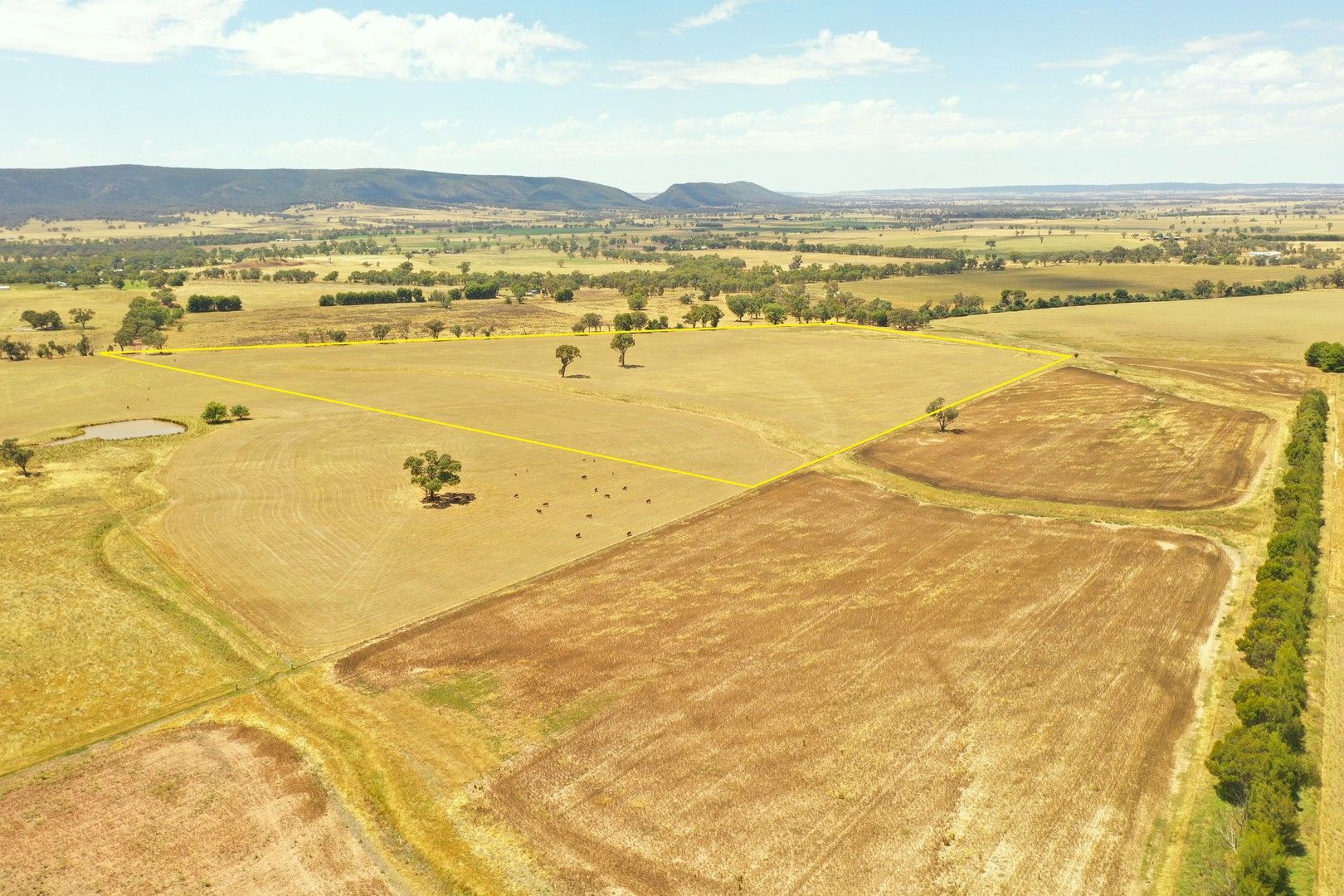 Lot 54 Hoads Road, Bendick Murrell Via, Young NSW 2594, Image 0