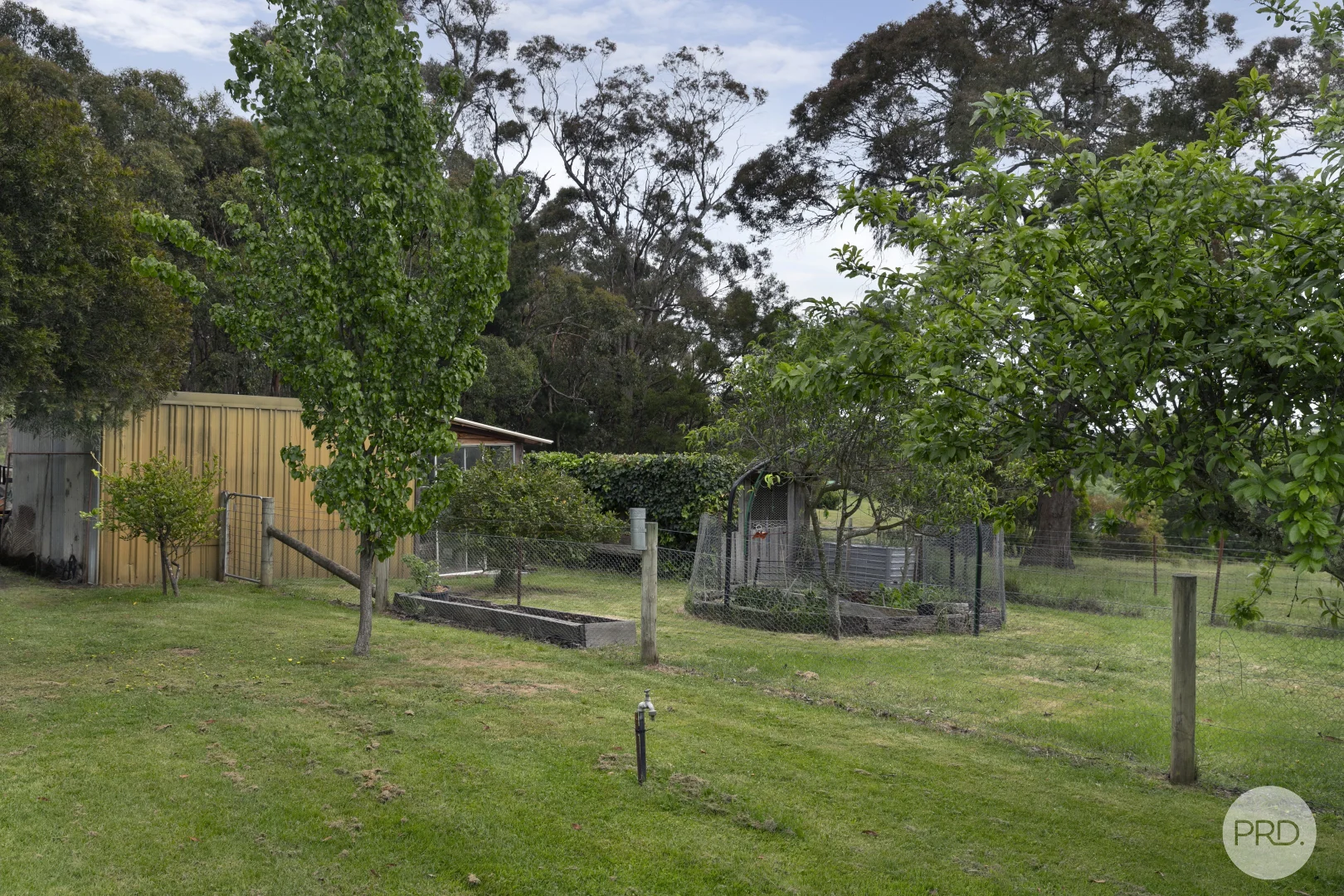 Image 18