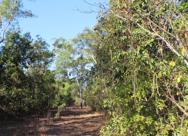 73 Myrmidon Circuit, Dundee Beach NT 0840