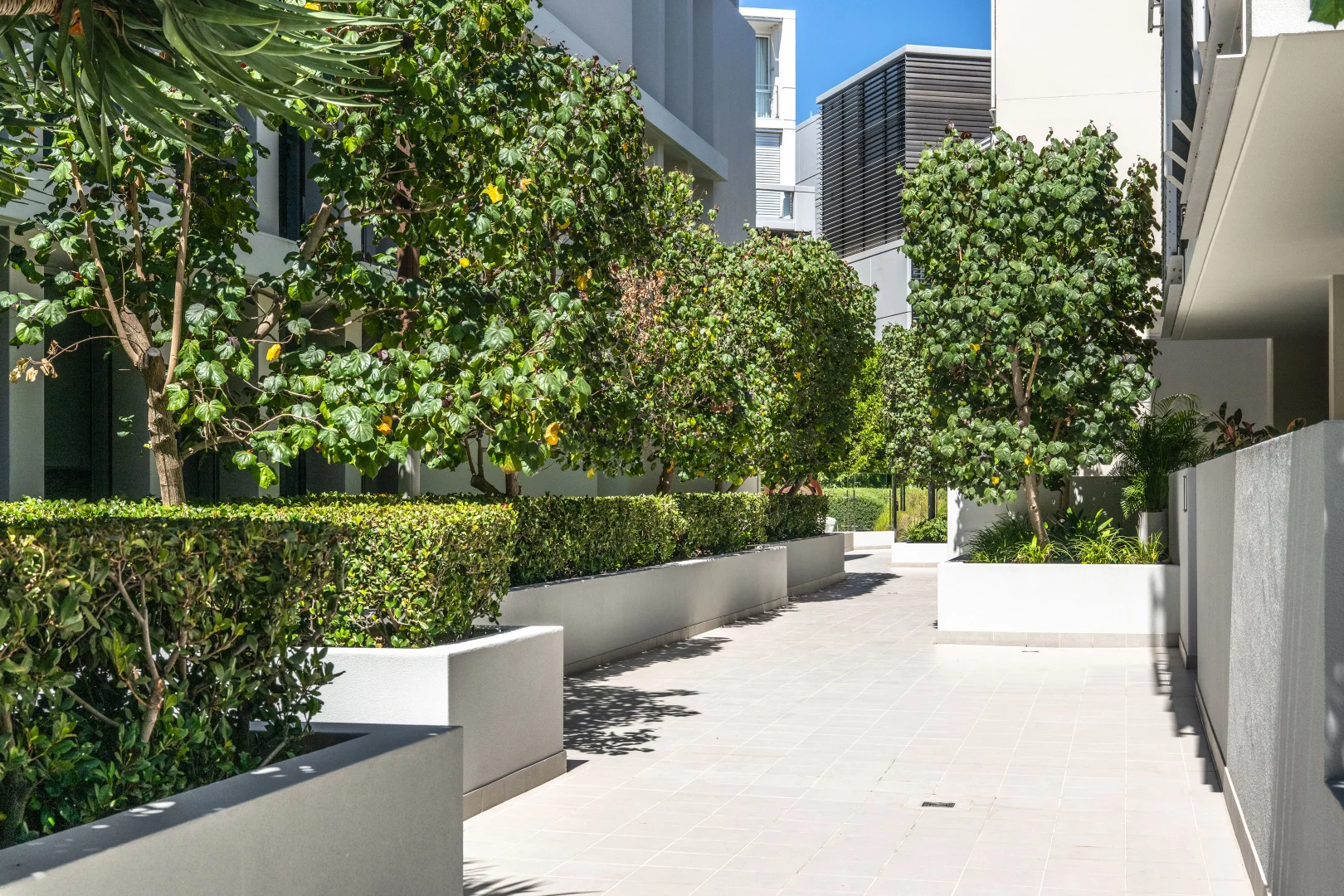 Additional image 23 of 43/11 Leighton Beach Boulevard, North Fremantle WA 6159