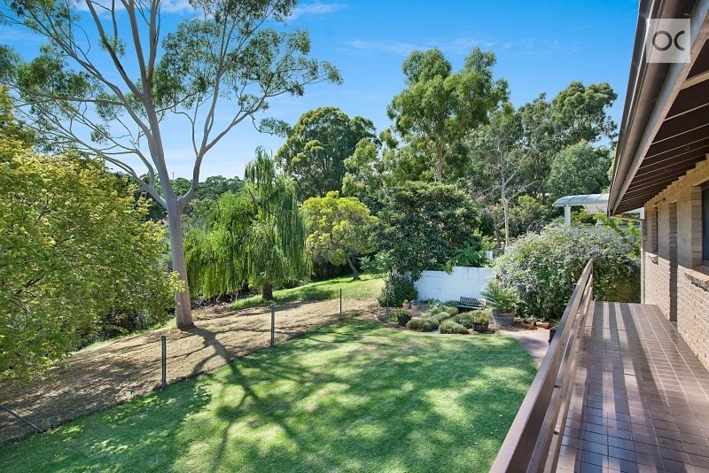 11 Wyfield Street, Wattle Park SA 5066, Image 0