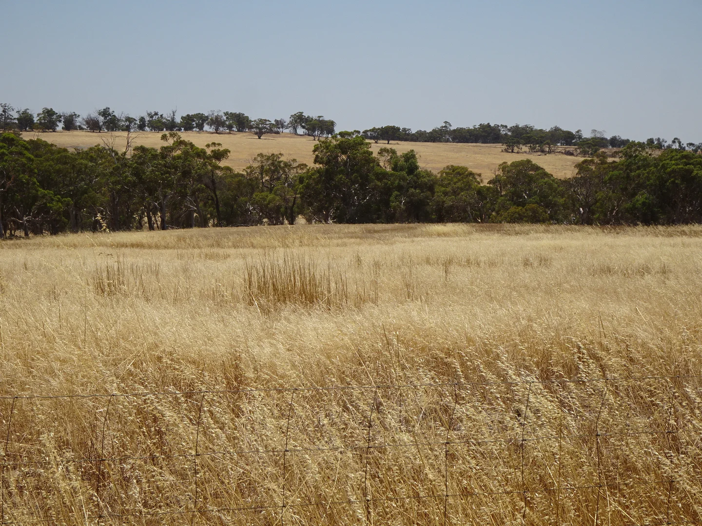 Image 22