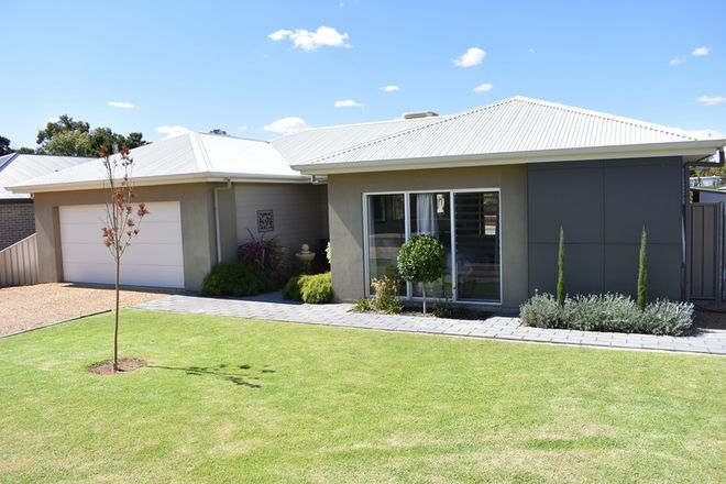 Picture of 5 Timor Street, LOXTON NORTH SA 5333