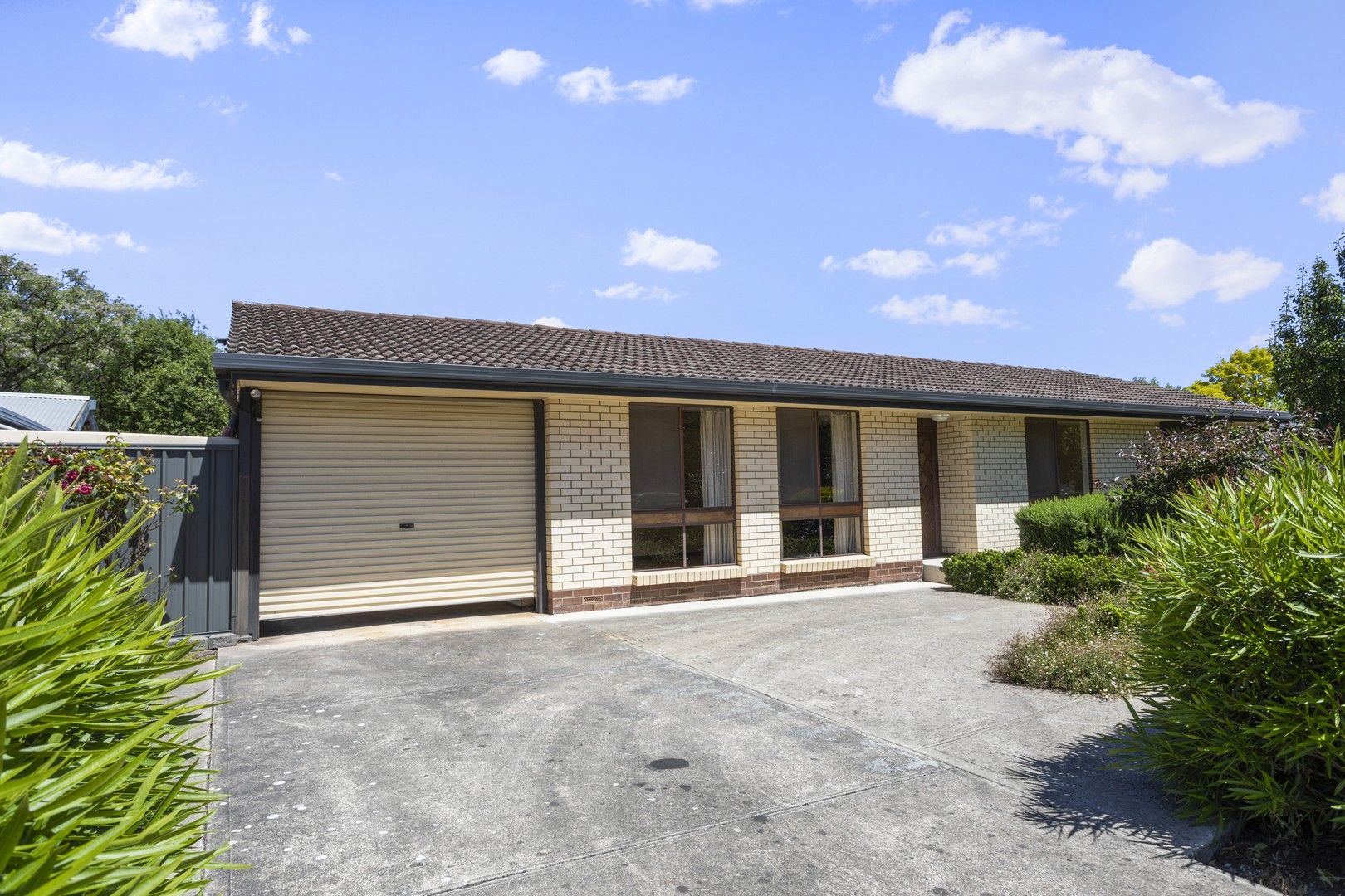 3 bedrooms House in 23 Australia Avenue MODBURY SA, 5092