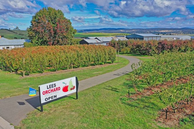 15 Rural Properties For Sale In Northern Tasmania Tas Domain