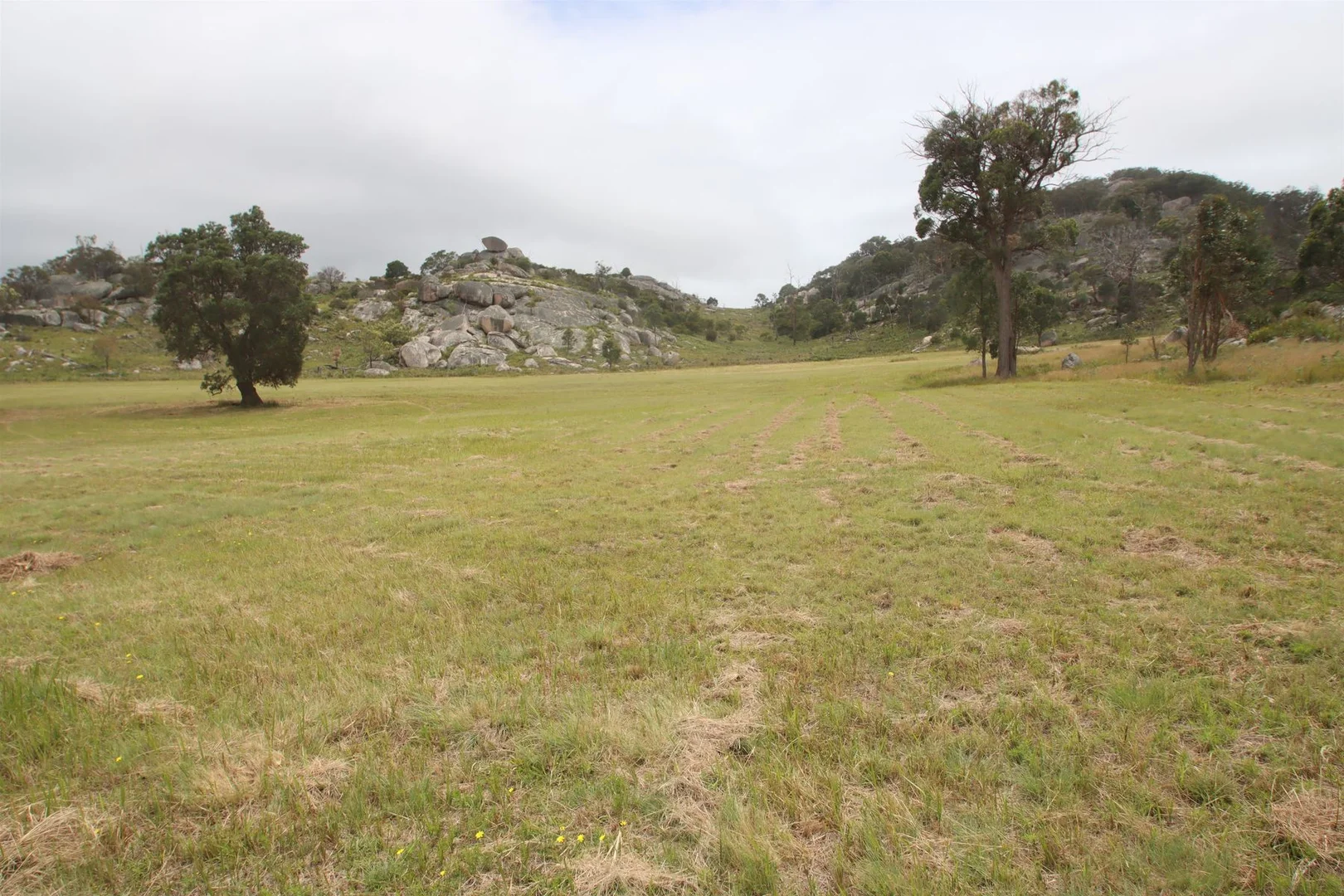Image 10