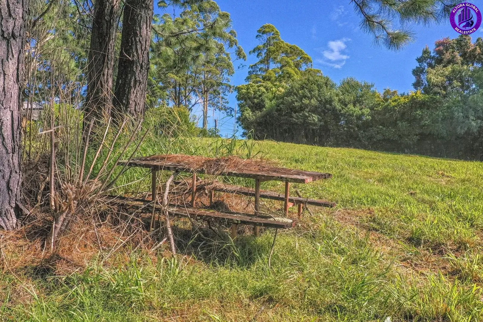 Additional image 13 of 89 Guanaba Road, Tamborine Mountain QLD 4272