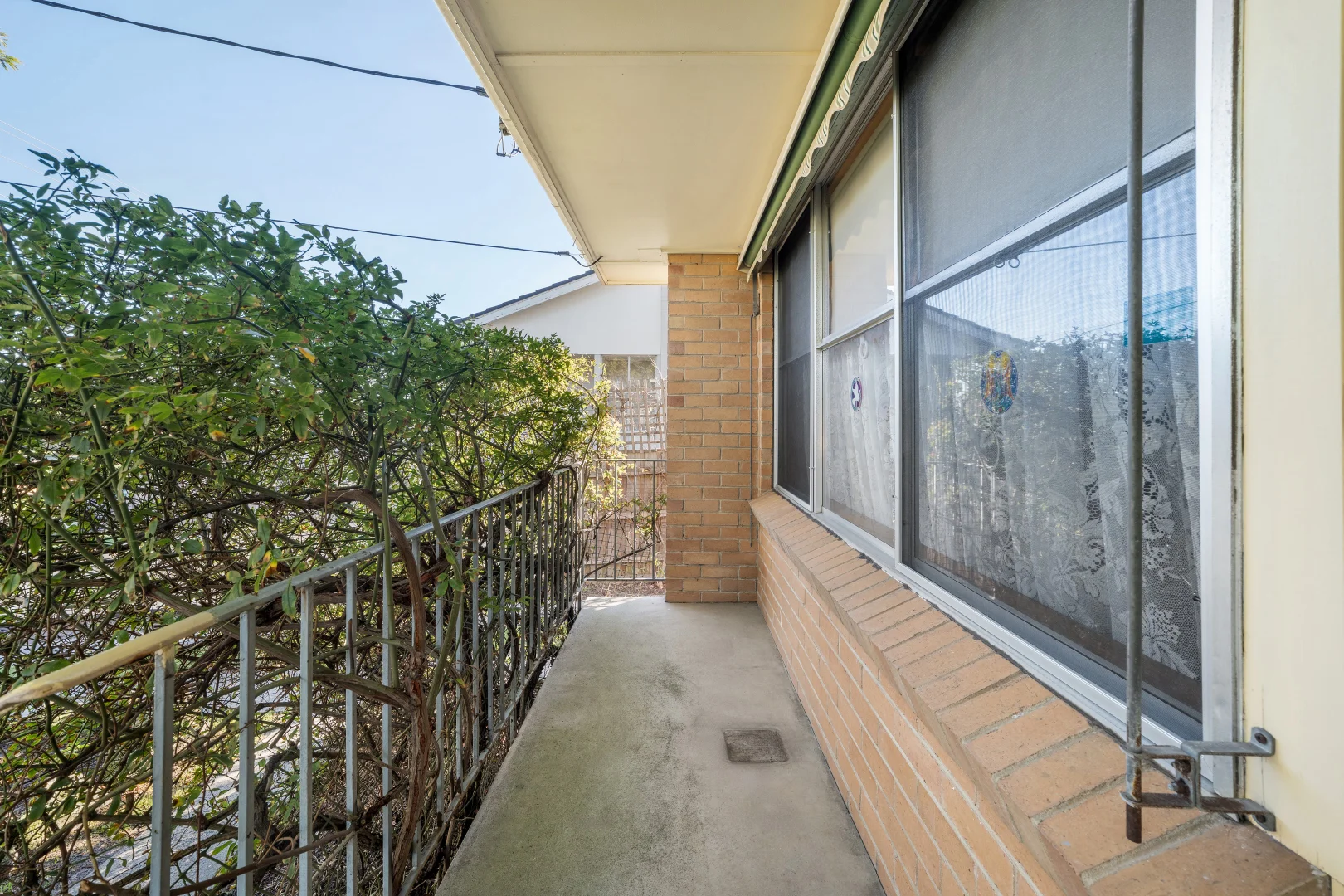 Image 10