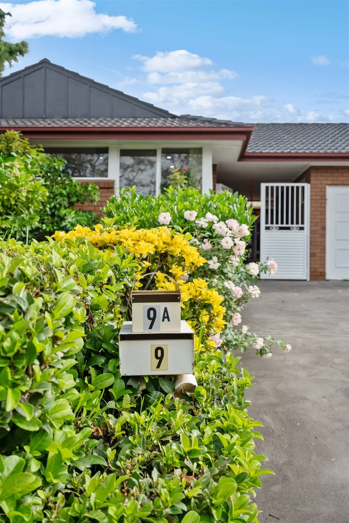 Image 15