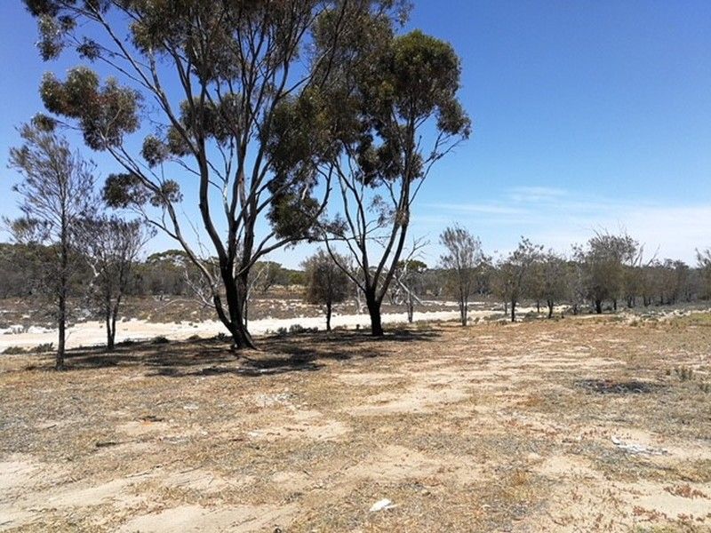 194 & 244 Ebsary Street, Dumbleyung WA 6350, Image 1