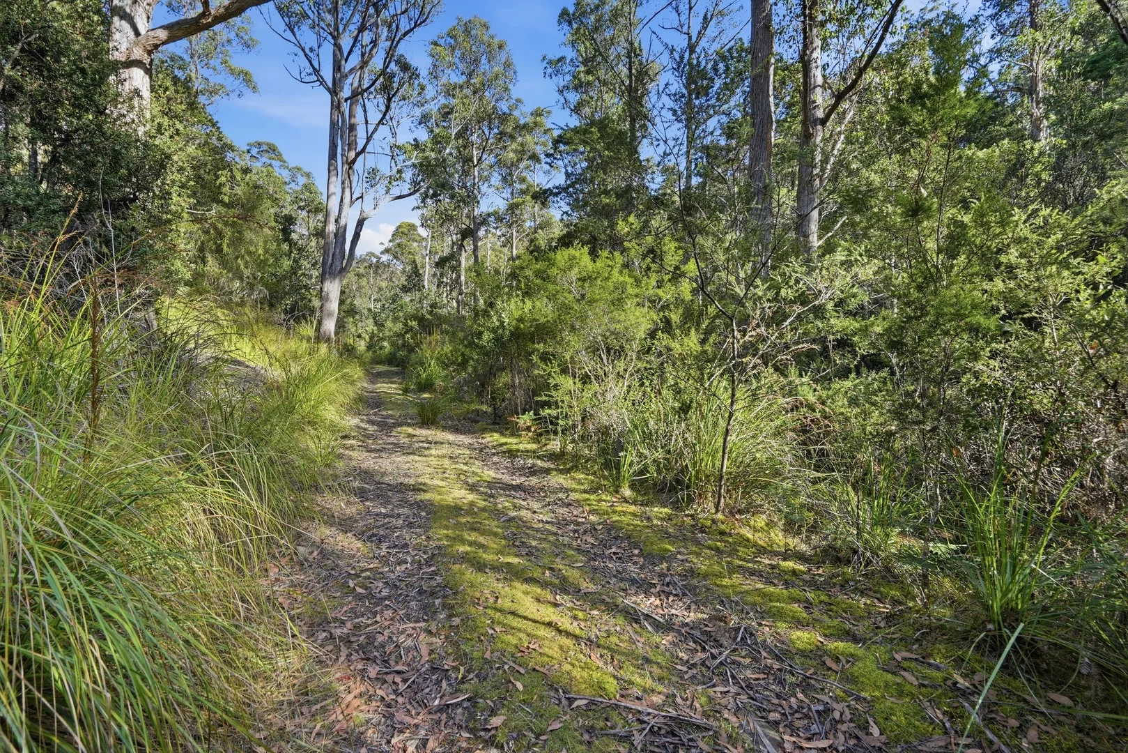 Additional image 11 of 111 Underwoods Road, Nicholls Rivulet TAS 7112