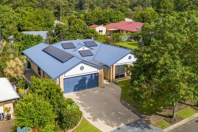 Picture of 12 Red Jacket Court, PALMWOODS QLD 4555